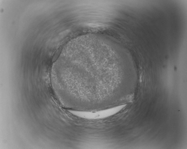 X0000051861109200507151813