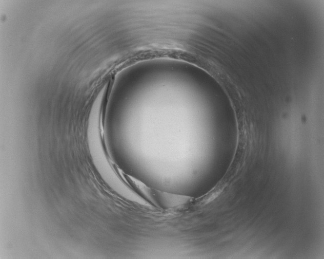 X0000051861110200507151813