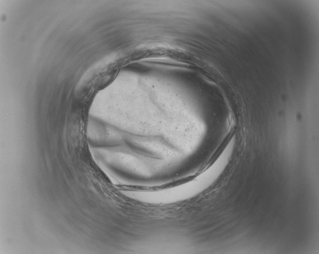 X0000051861111200507151813