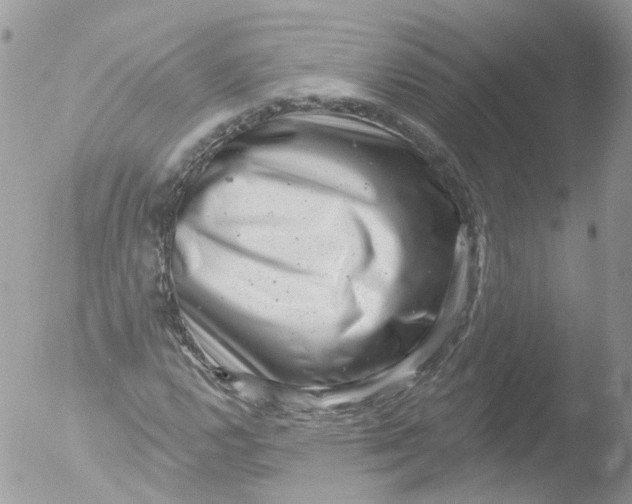 X0000051861112200507151813