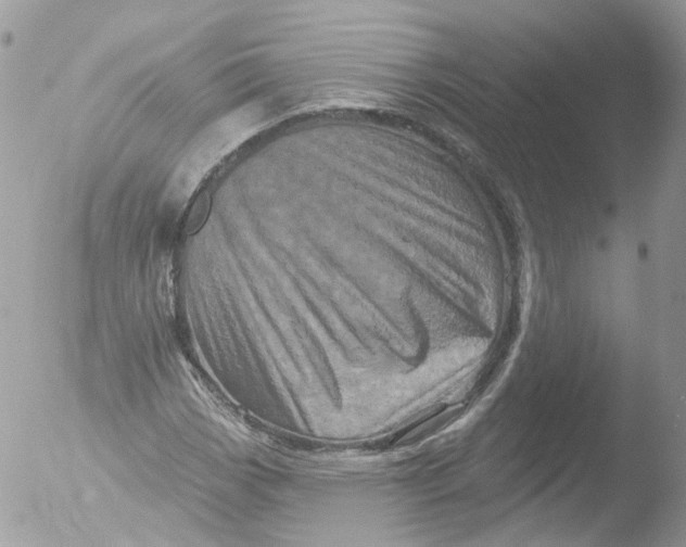 X0000051861113200507151813