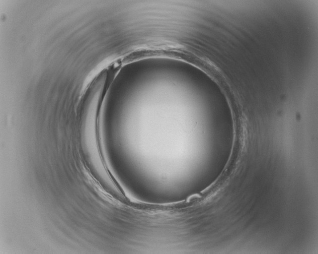 X0000051861114200507151813