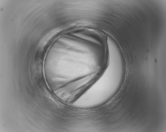 X0000051861115200507151813