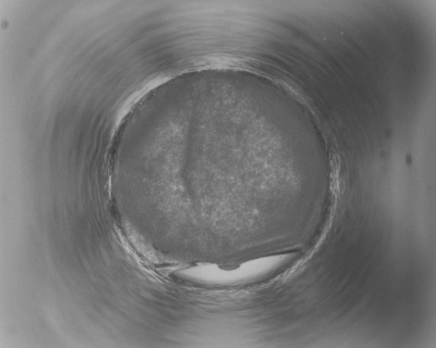 X0000051861117200507151813