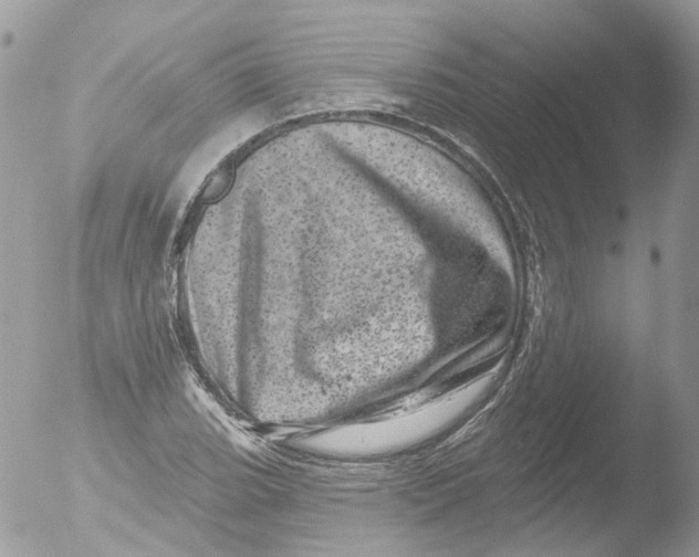 X0000051861119200507151813