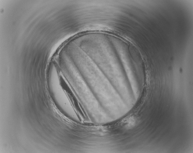 X0000051861120200507151813