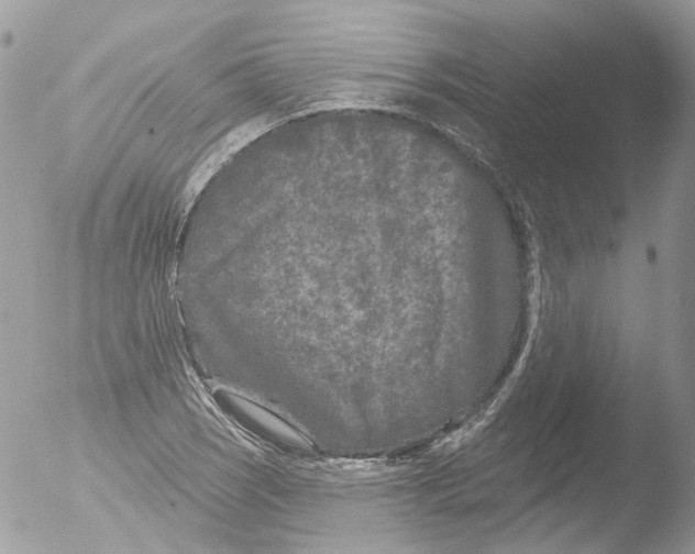 X0000051861121200507151813