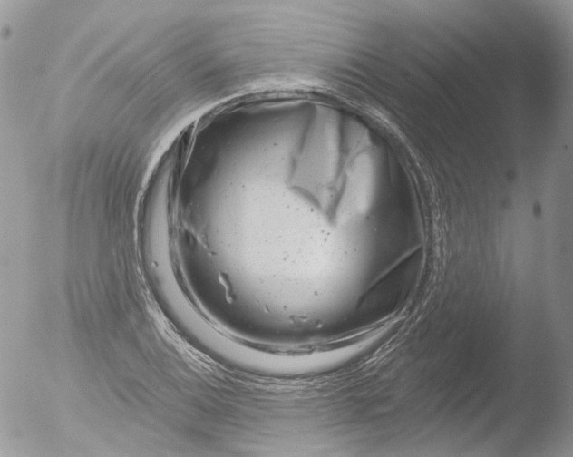 X0000051861124200507151813