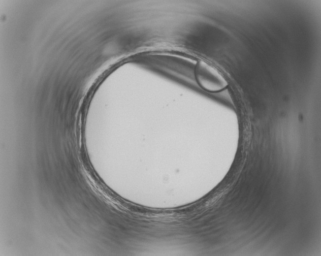 X0000051861126200507151813