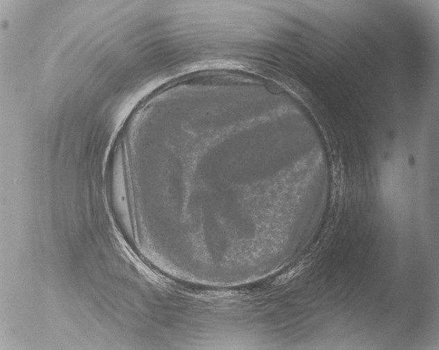 X0000051861127200507151813