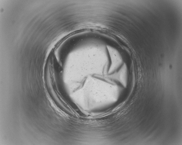 X0000051861128200507151813