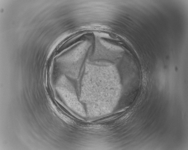 X0000051861131200507151813