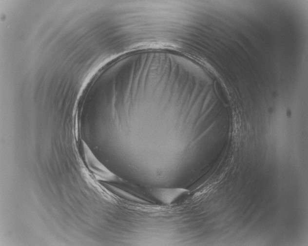 X0000051861132200507151813