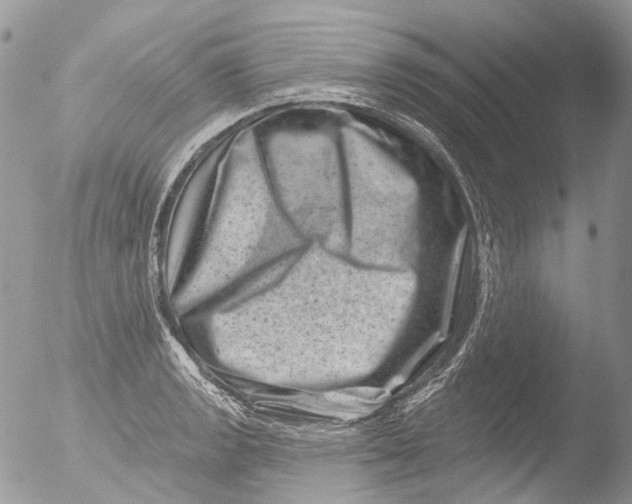 X0000051861133200507151813