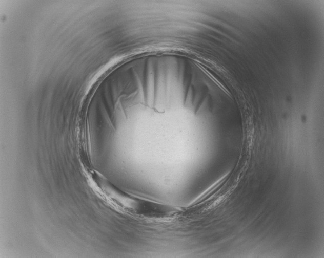 X0000051861134200507151813