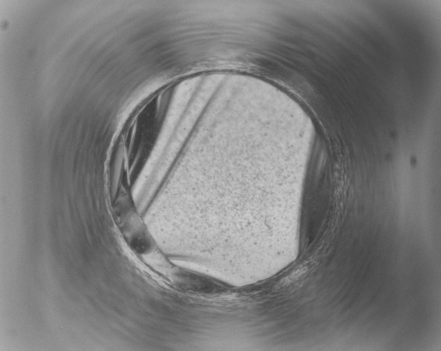 X0000051861135200507151813