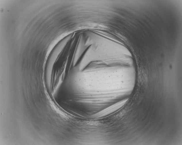 X0000051861136200507151813