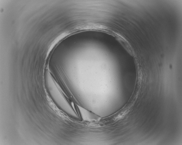 X0000051861138200507151813