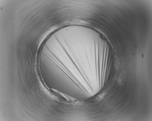 X0000051861139200507151813