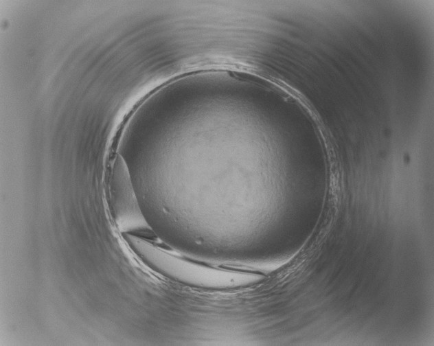 X0000051861144200507151813