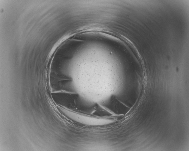 X0000051861146200507151813