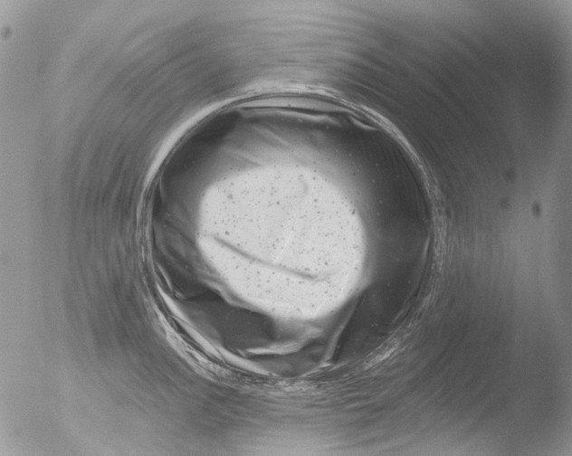 X0000051861148200507151814