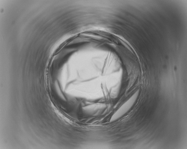 X0000051861151200507151814