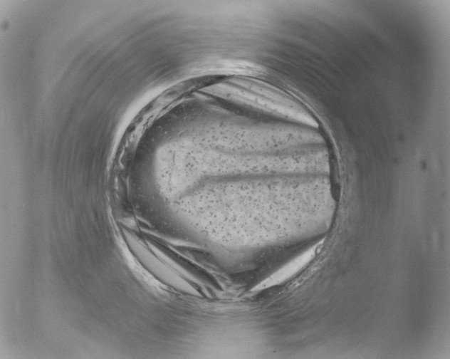 X0000051861152200507151814