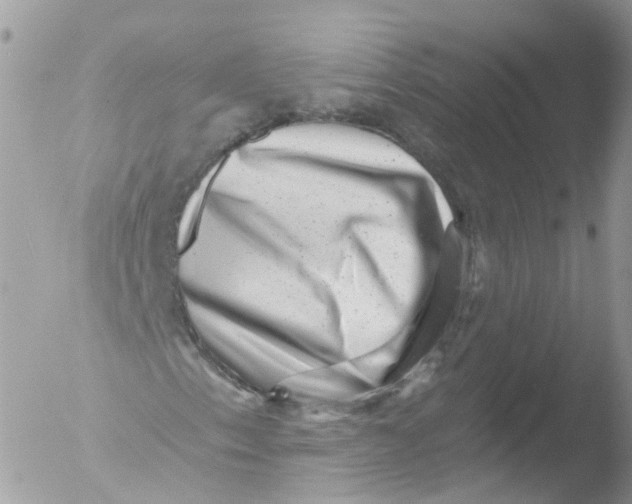 X0000051861153200507151813