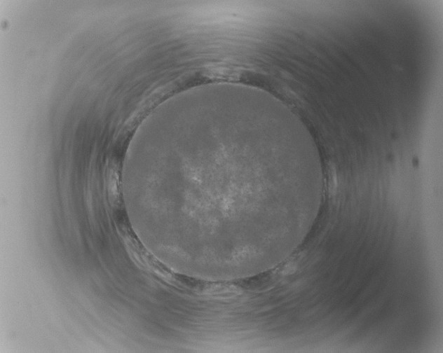 X0000051861154200507151813