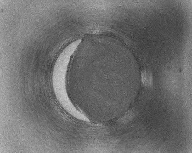 X0000051861155200507151813