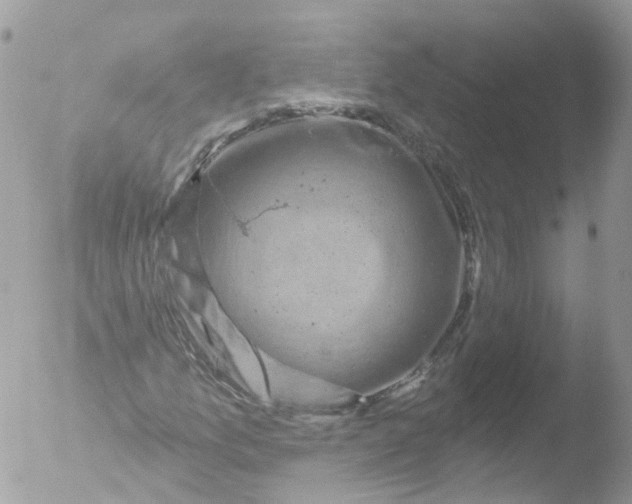 X0000051861157200507151813