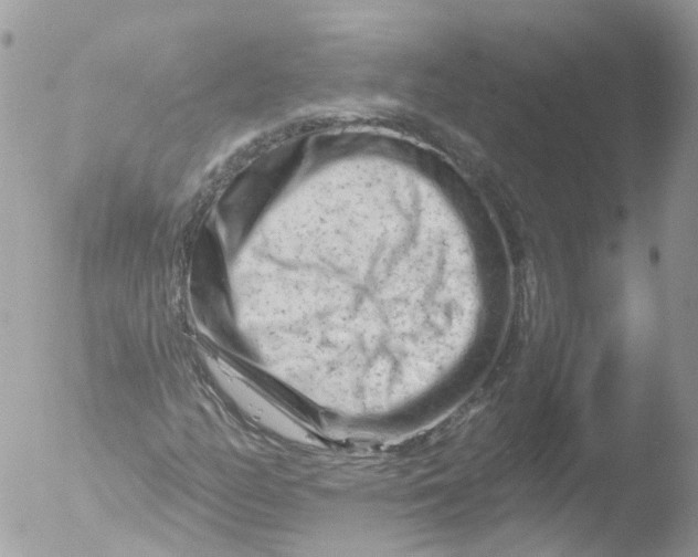 X0000051861158200507151813