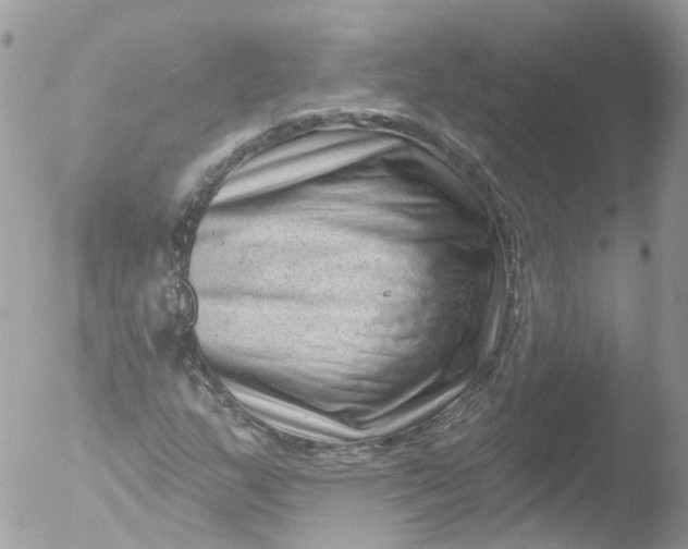 X0000051861159200507151813