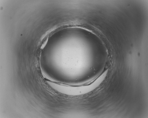 X0000051861160200507151813