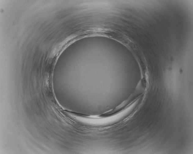 X0000051861161200507151813