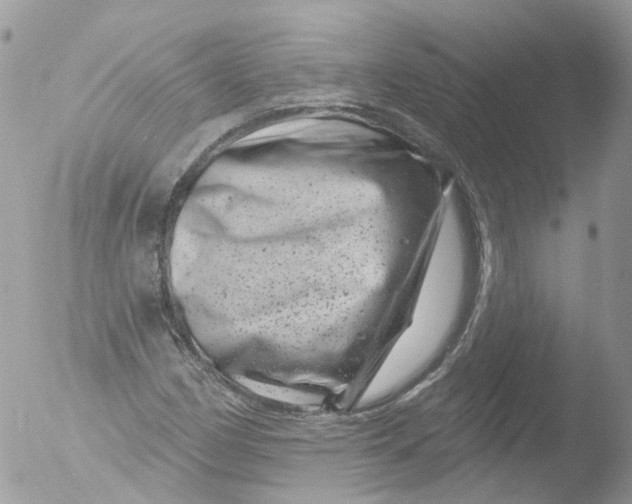 X0000051861162200507151813