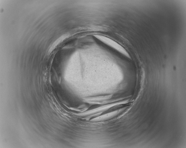 X0000051861163200507151813