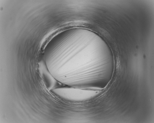 X0000051861164200507151813