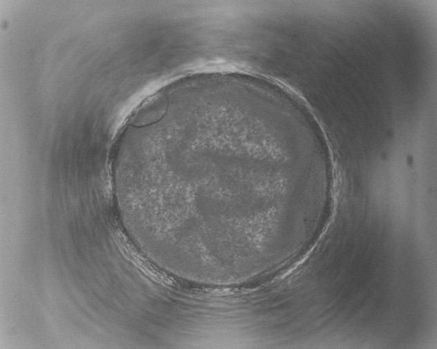 X0000051861167200507151813