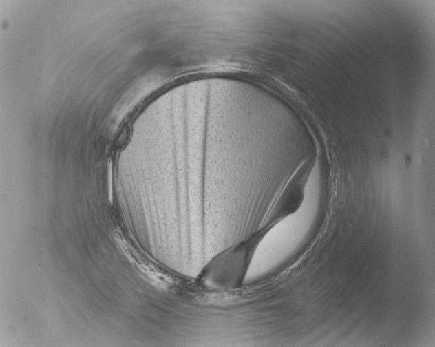 X0000051861171200507151812