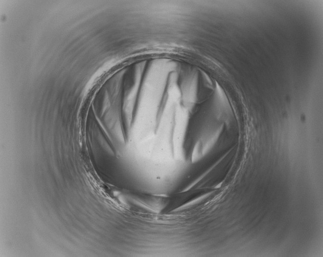 X0000051861172200507151812