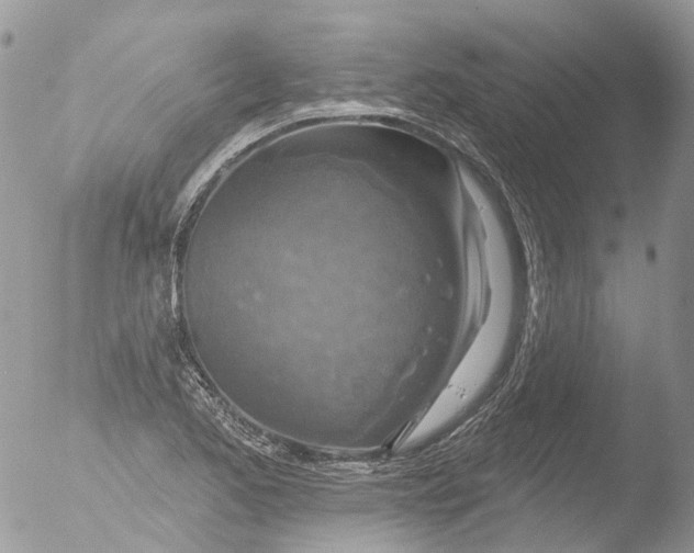 X0000051861173200507151812