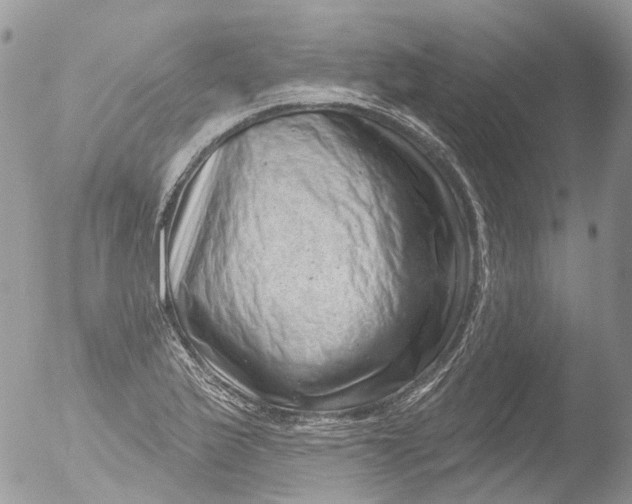 X0000051861175200507151812