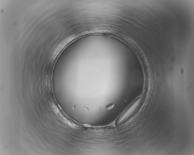 X0000051861177200507151812