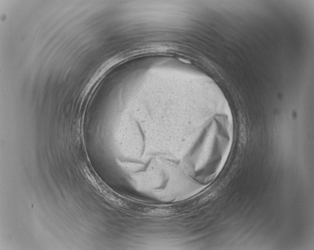 X0000051861178200507151812