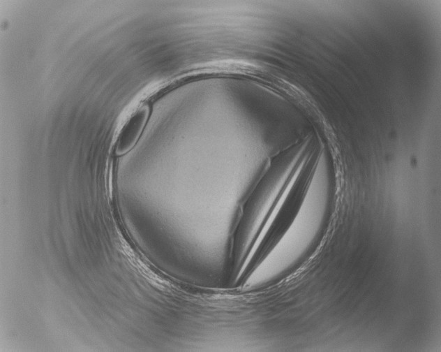 X0000051861180200507151812