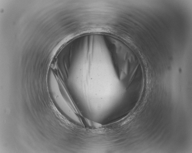 X0000051861181200507151812