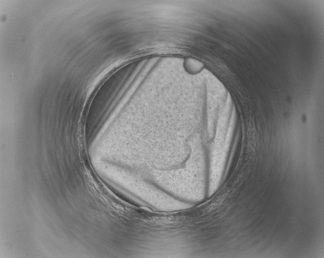 X0000051861182200507151812