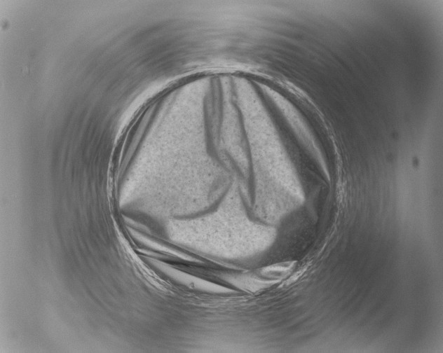 X0000051861183200507151812